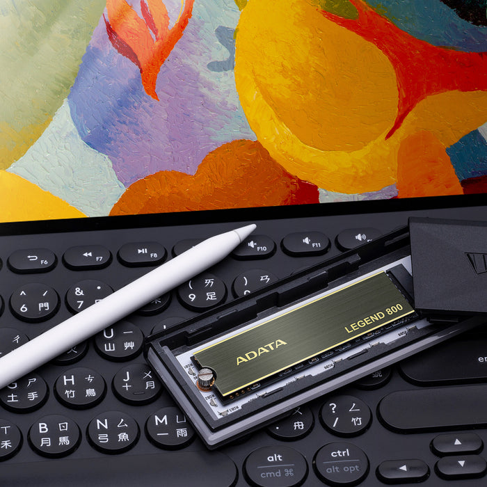 ADATA ALEG-800-1000GCS internal solid state drive