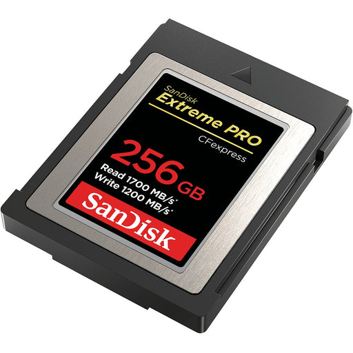  256 GB