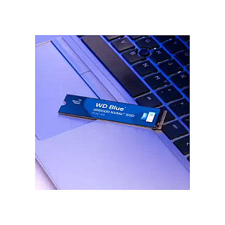 Western Digital WDS200T4B0E internal solid state drive