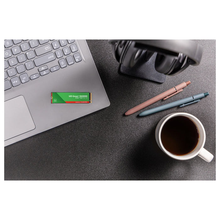 SanDisk Green WD SN3000 NVMe
