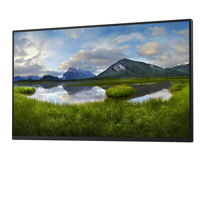 DELL P Series P2425HE_WOST computer monitor