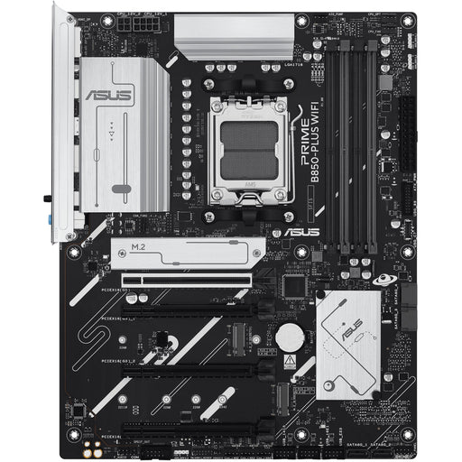  AMD