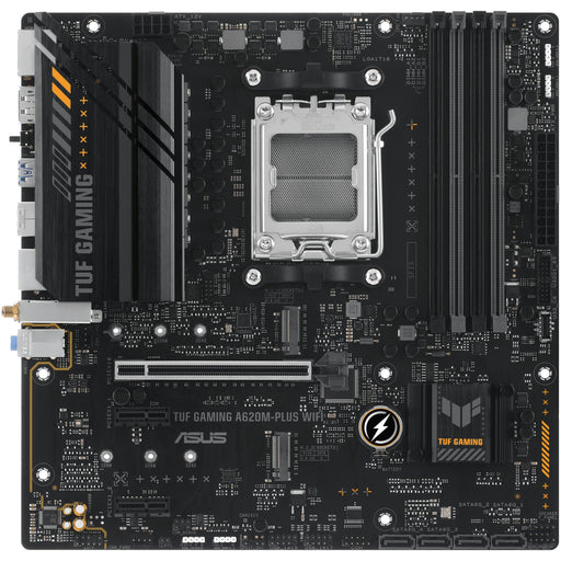  AMD