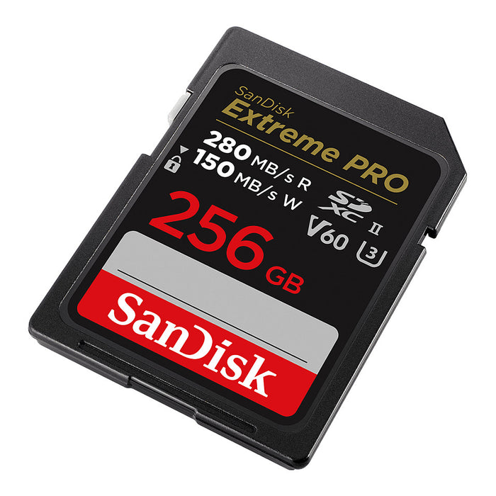 SanDisk SDSDXEP-256G-GN4IN memory card