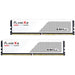 G.Skill F5-6000J3036F48GX2-FX5W