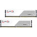 G.Skill Flare X5 F5-6000J3636F32GX2-FX5W