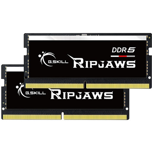 G.Skill Ripjaws F5-4800S3838A32GX2-RS