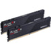 G.Skill Flare X5 F5-5200J4040A24GX2-FX5
