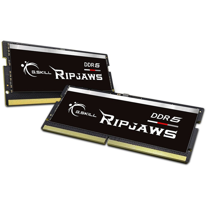 Módulo de memoria G.Skill Ripjaws F5-4800S4039A16GX2-RS