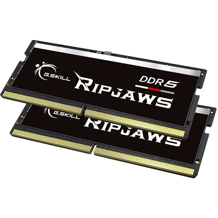 Módulo de memoria G.Skill Ripjaws F5-4800S4039A16GX2-RS