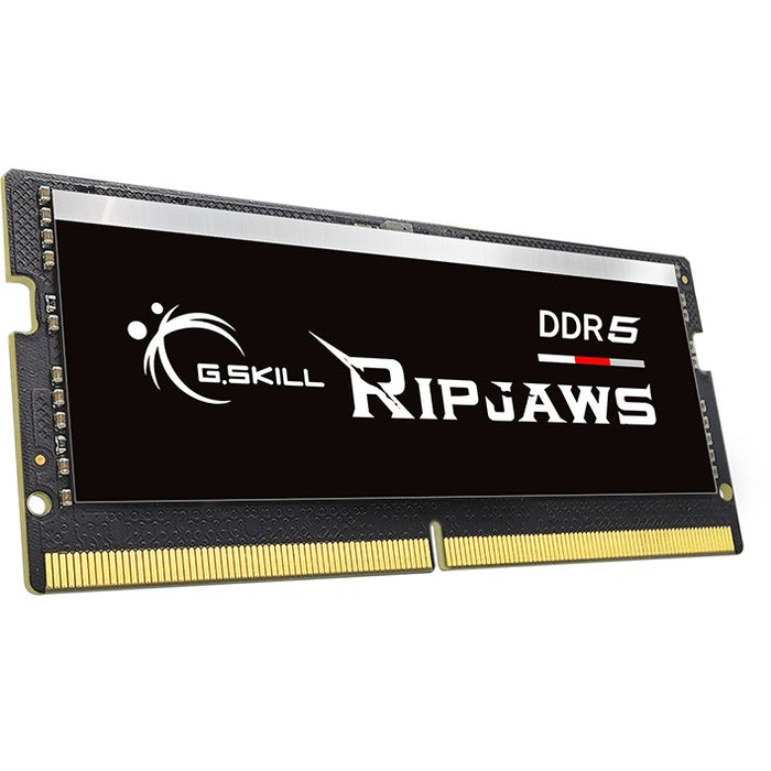 Módulo de memoria G.Skill Ripjaws F5-4800S3434A16GX1-RS