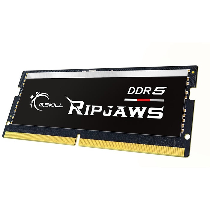 Módulo de memoria G.Skill Ripjaws F5-4800S3434A16GX1-RS