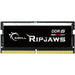 G.Skill Ripjaws F5-4800S4039A16GX1-RS