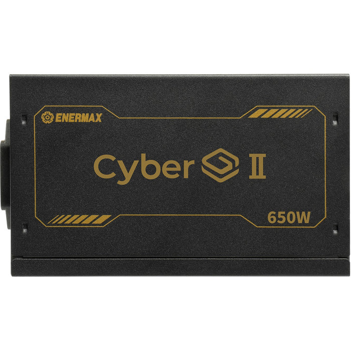  100 W