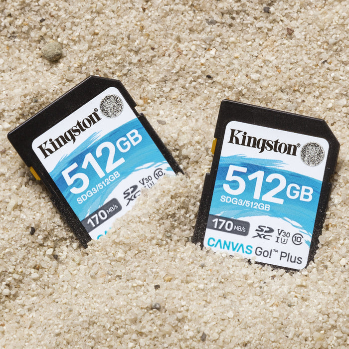 Kingston Technology Canvas Go! Plus