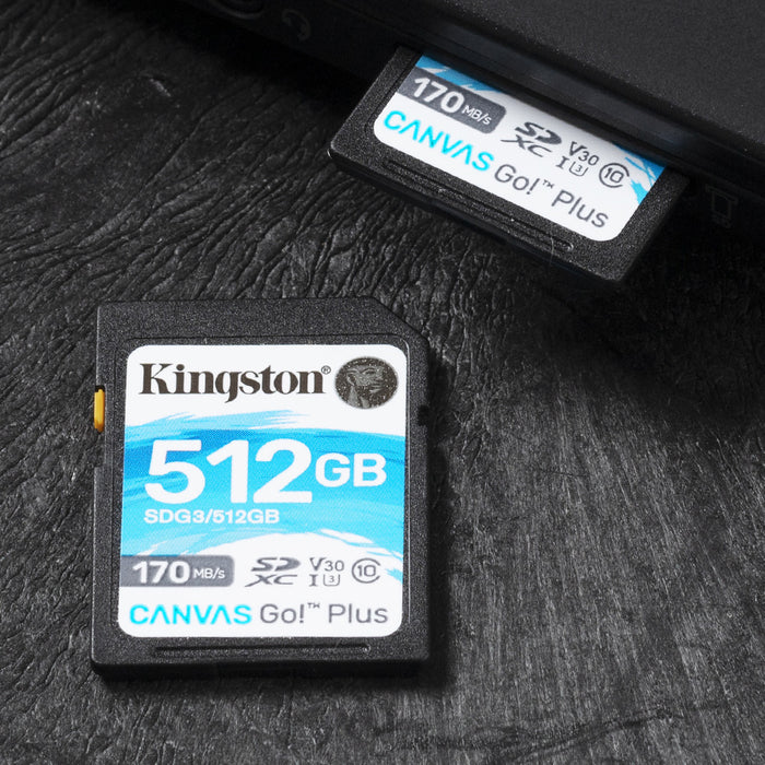 Kingston Technology Canvas Go! Plus