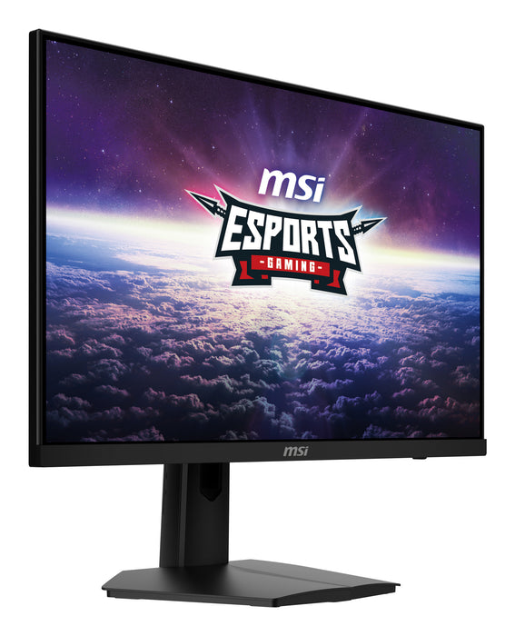MSI G244F E2 computer monitor
