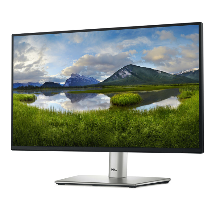 DELL P Series P2225H computer monitor