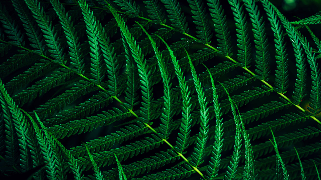 Philips 5000 series 27B2G5601/00 computer monitor