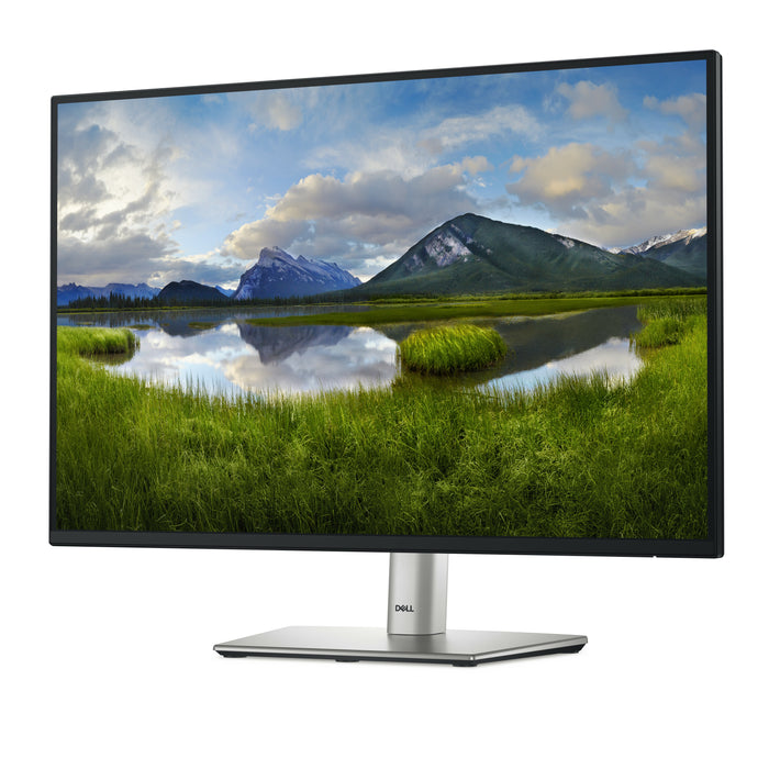 DELL P Series P2425 computer monitor