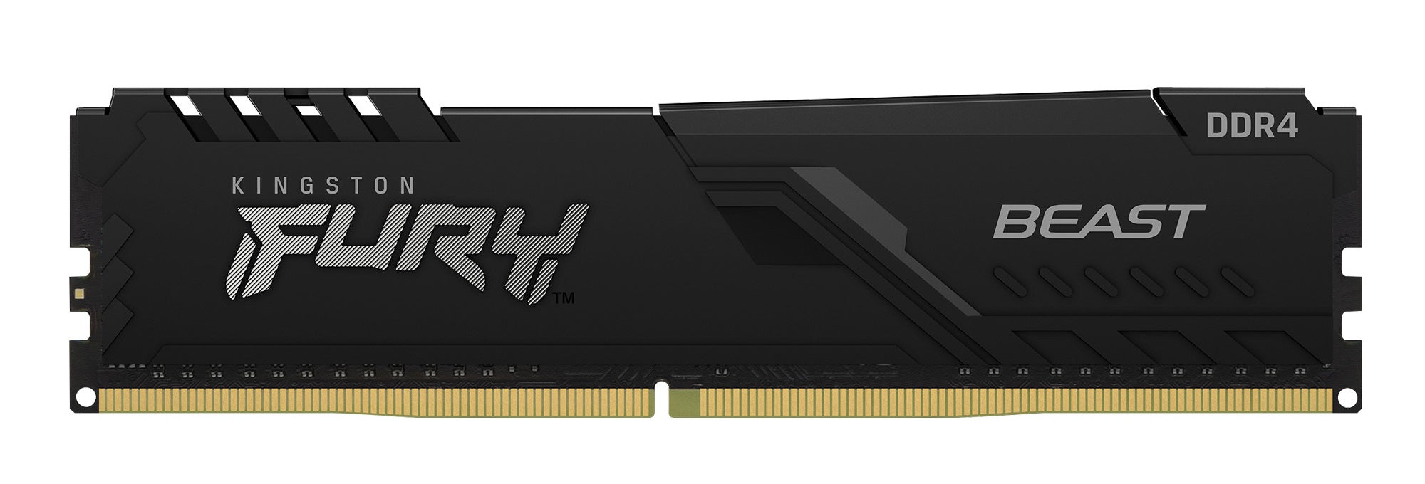 Kingston Technology FURY Beast memory module
