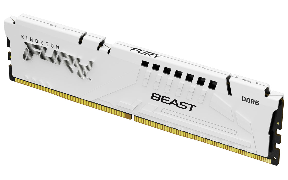 Módulo de memória Kingston Technology FURY Beast