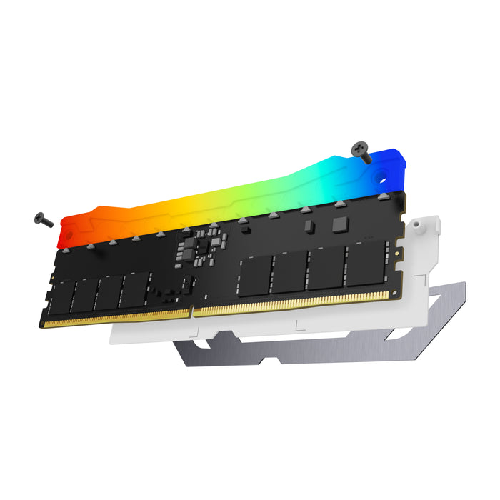 Kingston Technology FURY Renegade RGB memory module