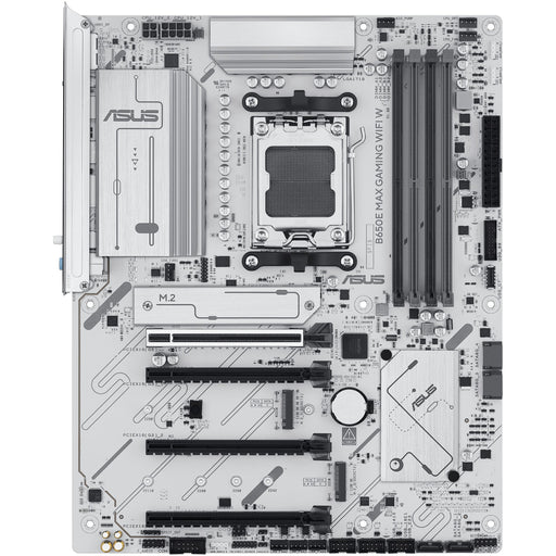  AMD