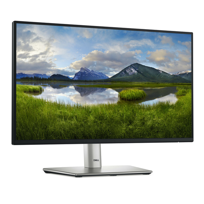DELL P Series P2225H computer monitor