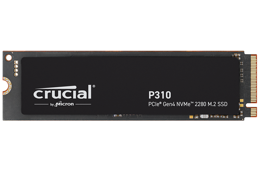 Crucial P310