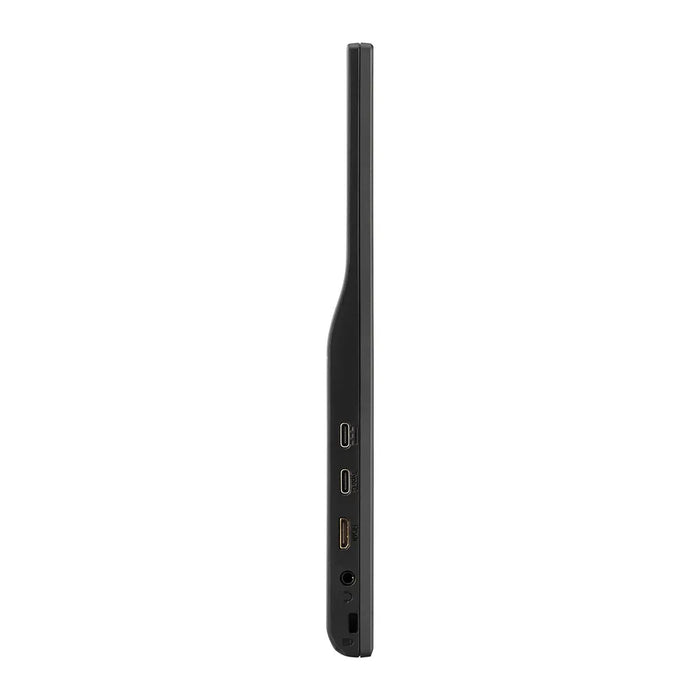 Viewsonic VX1654 portable TV/monitor